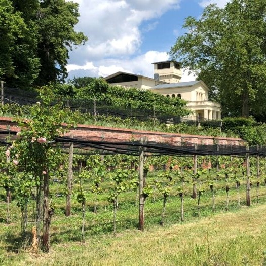 Weinfest im Park – 08. und 09. Juni 2024
